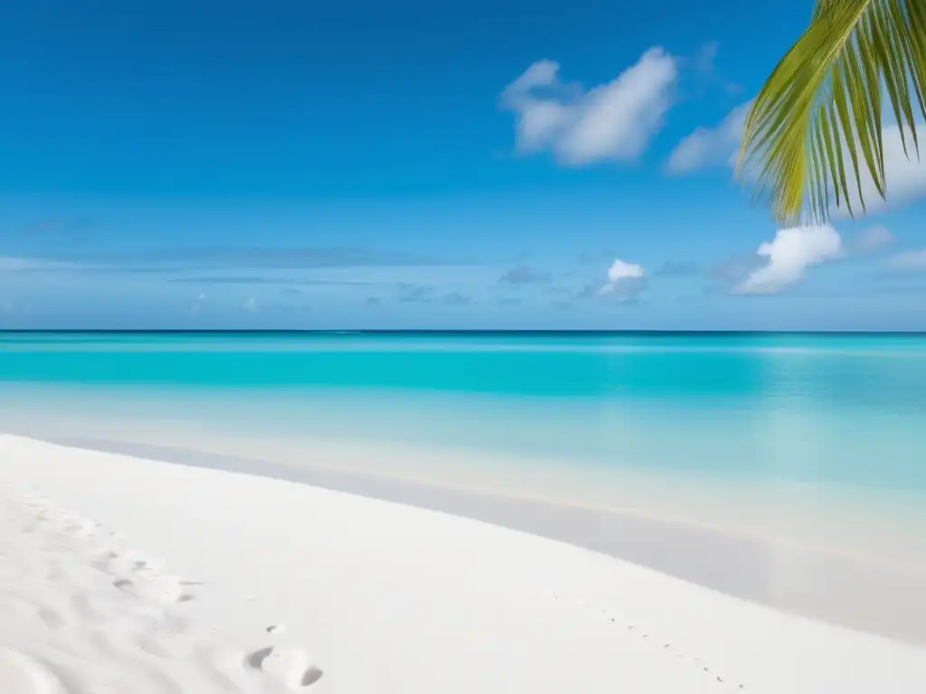 Playa tropical serena en el Caribe Playa tropical en el Caribe - Factores clave para elegir universidad en el Caribe